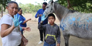 DIF Los Cabos (SMDIF) implementa de forma permanente el Programa de Equinoterapia.