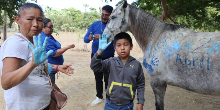 DIF Los Cabos (SMDIF) implementa de forma permanente el Programa de Equinoterapia.