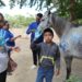 DIF Los Cabos (SMDIF) implementa de forma permanente el Programa de Equinoterapia.