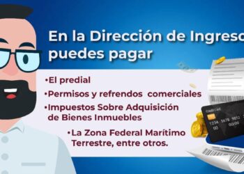 Cabildo de Los Cabos otorgó la prorroga hasta el 30 de abril para ponerse al corriente licencias de giros comerciales