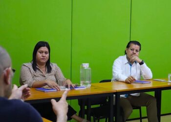 Taller denominado “Fortalecimiento Institucional para la Elaboración de Planes de Restitución de Derechos de Niñas, Niños y Adolescentes