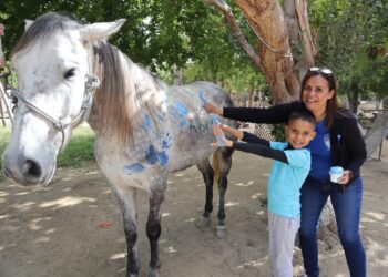 El Sistema Municipal DIF Los Cabos (SMDIF) implementa de forma permanente el Programa de Equinoterapia.
