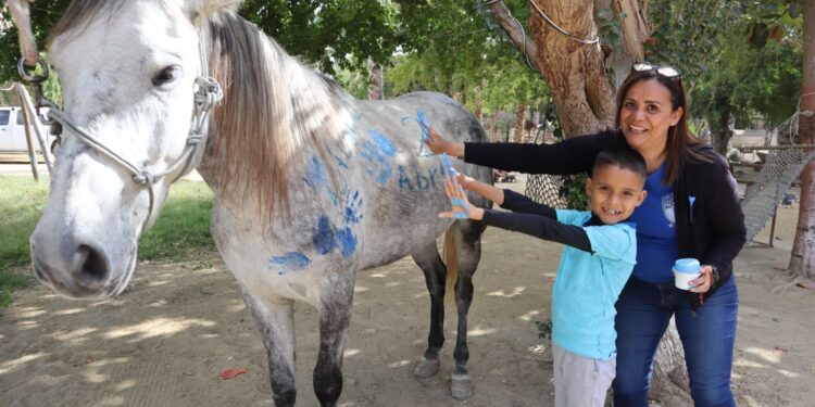 El Sistema Municipal DIF Los Cabos (SMDIF) implementa de forma permanente el Programa de Equinoterapia.