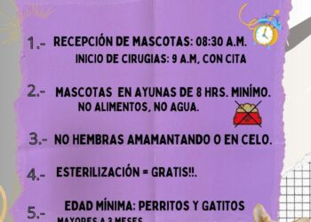 campaña de esterilización masiva.