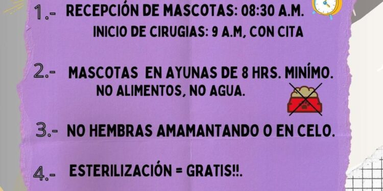 campaña de esterilización masiva.