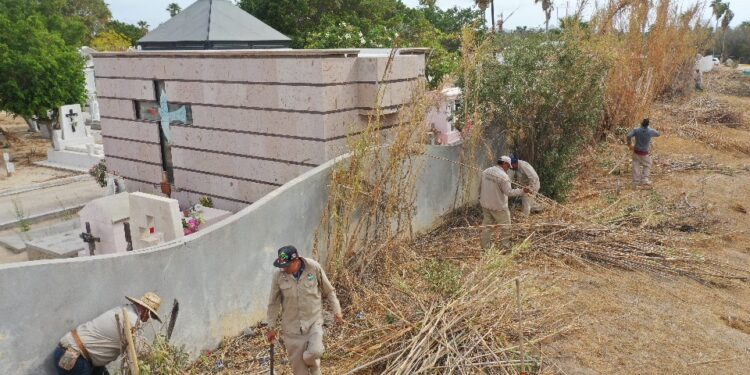 La Dirección de Aseo y Limpia, efectuó la limpieza al interior y exterior del camposanto de la colonia Centro de San José del Cabo.