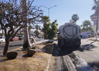 Limpieza y riego en los camellones centrales de la carretera Transpeninsular