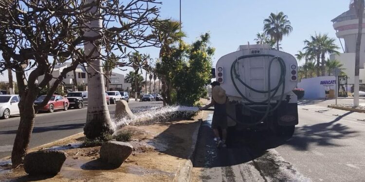 Limpieza y riego en los camellones centrales de la carretera Transpeninsular