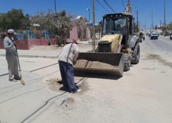 Acciones de limpieza en la colonia Pablo L. Martínez de San José del Cabo