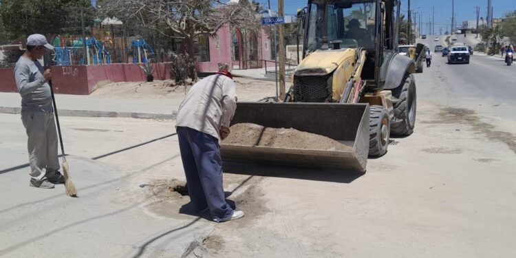 Acciones de limpieza en la colonia Pablo L. Martínez de San José del Cabo