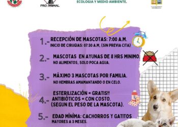 Las Campañas de Esterilización Canina y Felina gratuitas son una estrategia efectiva para disminuir la sobrepoblación de animales en situación de calle y abandono