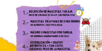 Las Campañas de Esterilización Canina y Felina gratuitas son una estrategia efectiva para disminuir la sobrepoblación de animales en situación de calle y abandono