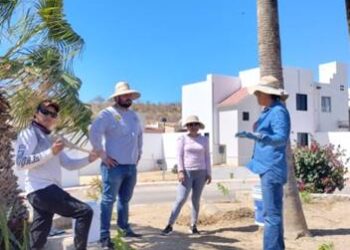 Continúa el programa de reforestación en las colonias del municipio de Los Cabos