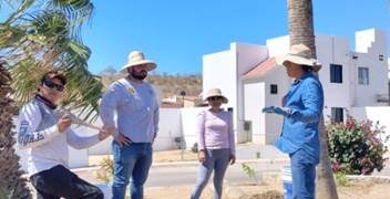 Continúa el programa de reforestación en las colonias del municipio de Los Cabos