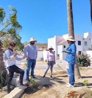 Continúa el programa de reforestación en las colonias del municipio de Los Cabos