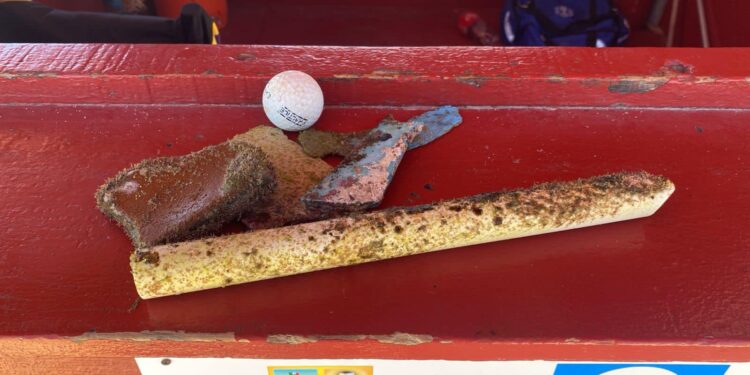 Limpieza profunda submarina en la playa Palmilla