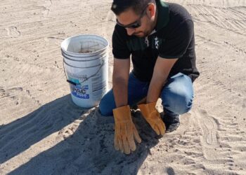 Personal del área de Zofemat Los Cabos lleva a cabo recorridos intensos de limpieza en las playas de este destino turístico