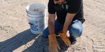 Personal del área de Zofemat Los Cabos lleva a cabo recorridos intensos de limpieza en las playas de este destino turístico