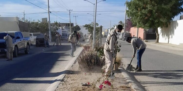 Jornada más de limpieza