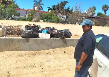 Seguimiento a los trámites para dictámenes ambientales de funcionamiento y renovación de los mismos. 