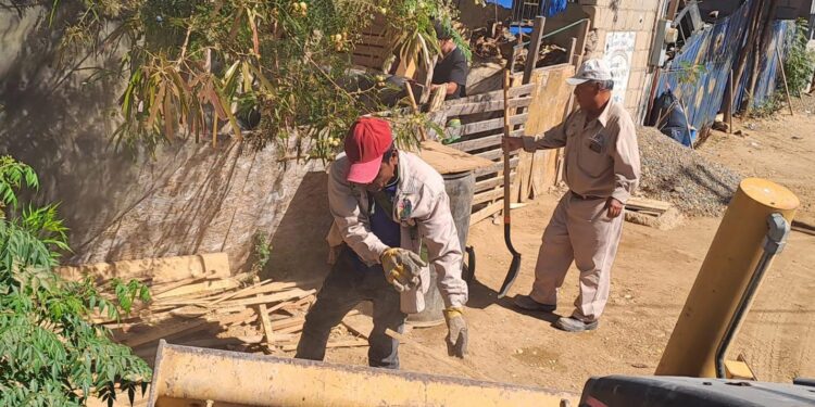 Servicios Públicos siguen trabajando en la limpieza de las vialidades