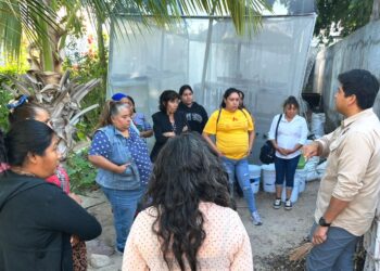 Imparten Taller de Capacitación en Huertos de Traspatio a familias indígenas y Afromexicanas