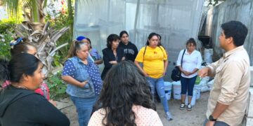 Imparten Taller de Capacitación en Huertos de Traspatio a familias indígenas y Afromexicanas
