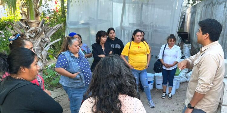 Imparten Taller de Capacitación en Huertos de Traspatio a familias indígenas y Afromexicanas