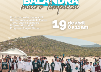 Invitan a la quinta macro limpieza de la Playa Balandra