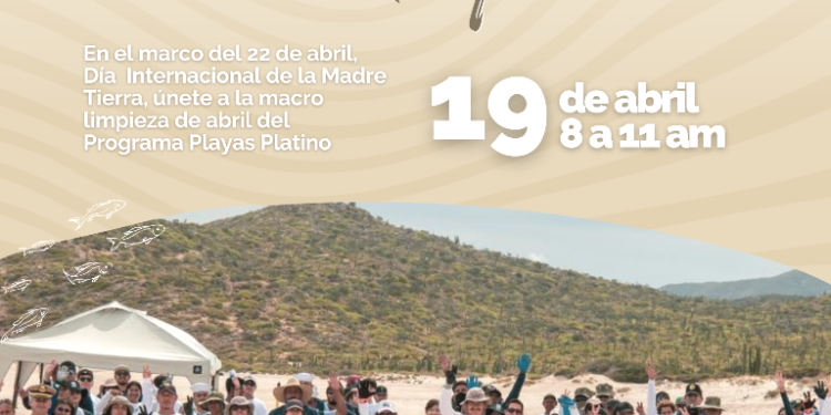 Invitan a la quinta macro limpieza de la Playa Balandra