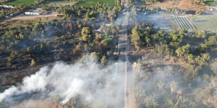 Sofocan bomberos de La Paz incendio en Todos Santos
