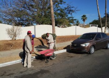 Se llevó a cabo una jornada más de limpieza; en esta ocasión se dio continuidad en el Centro Histórico de San José del Cabo y en la zona turística