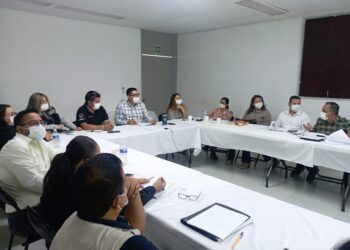Reunión del Consejo Estatal de Prestación de Servicios para la Atención, Cuidado y Desarrollo Infantil