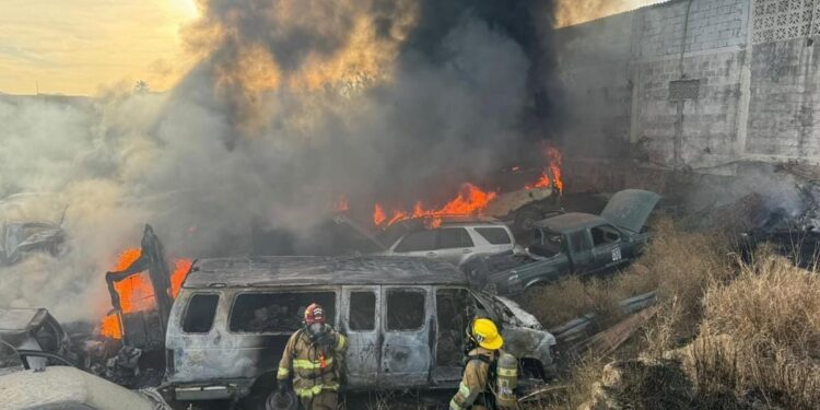 Sofocaron el incendio ocurrido alrededor de las 6:00 de la mañana, en el Corralón Municipal ubicado a espaldas de la Plaza Bugambilias, situada sobre la carretera Transpeninsular en la colonia Santa Rosa, en San José del Cabo.