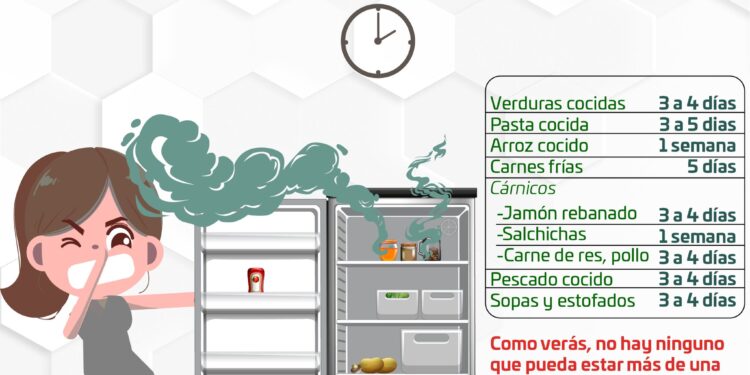 Medidas importantes que se deben llevar a cabo durante esta temporada de calor