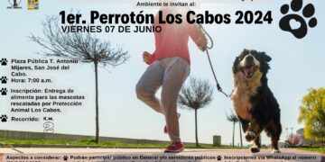 Se llevarán a cabo por el Día Mundial del Medio Ambiente este próximo 07 de junio