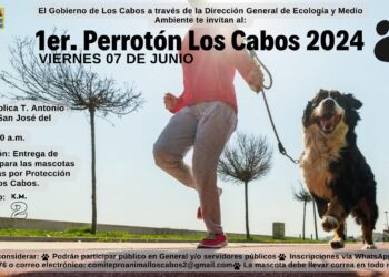 Se llevarán a cabo por el Día Mundial del Medio Ambiente este próximo 07 de junio