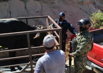 Policía Preventiva y Tránsito Municipal reafirman su compromiso con la seguridad y tranquilidad