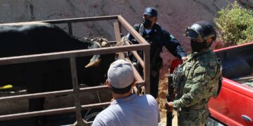 Policía Preventiva y Tránsito Municipal reafirman su compromiso con la seguridad y tranquilidad