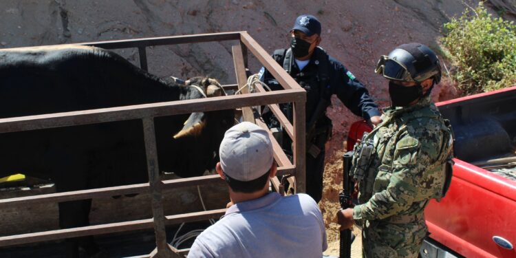 Policía Preventiva y Tránsito Municipal reafirman su compromiso con la seguridad y tranquilidad