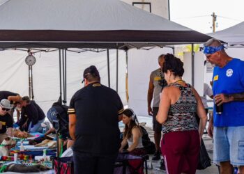 Los días 15, 16 y 19 de mayo se llevaron a cabo diversas campañas de esterilización canina y felina
