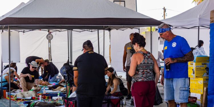 Los días 15, 16 y 19 de mayo se llevaron a cabo diversas campañas de esterilización canina y felina