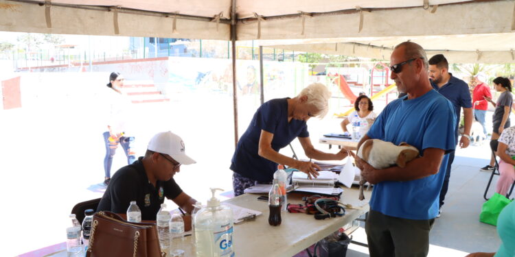 Campañas de esterilización y jornadas de vacunación antirrábica canina y felina de forma gratuita.