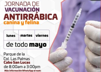 Vacuna antirrábica de forma gratuita