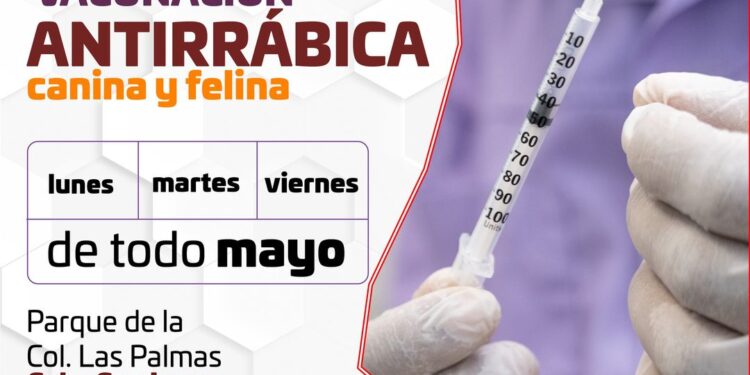 Vacuna antirrábica de forma gratuita