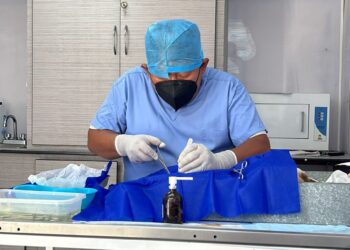 Campaña de esterilización en la en la comunidad