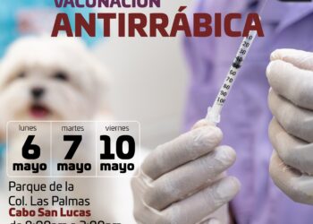 Jornada de vacunación antirrábica