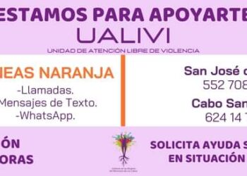 Instituto de las Mujeres del Municipio de Los Cabos (IMMLC), brinda respaldo a las mujeres que se encuentren en situación vulnerable o de violencia