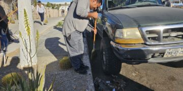 Jornada de limpieza en la zona hotelera en San José del Cabo de donde se levantó poco más de una tonelada de basura entre plásticos y vidrio.