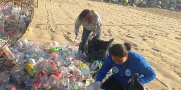 Los recipientes de plástico que se utilizan al visitar las playas en el municipio serán depositados en los contenedores metálicos en forma de pez